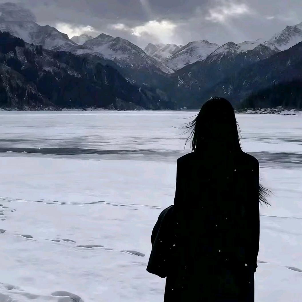 鱼窥荷.