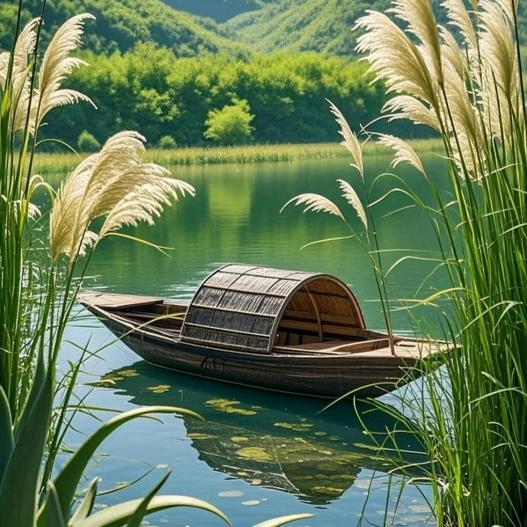 泰山的东哥