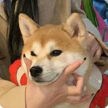 爱吃火龙果