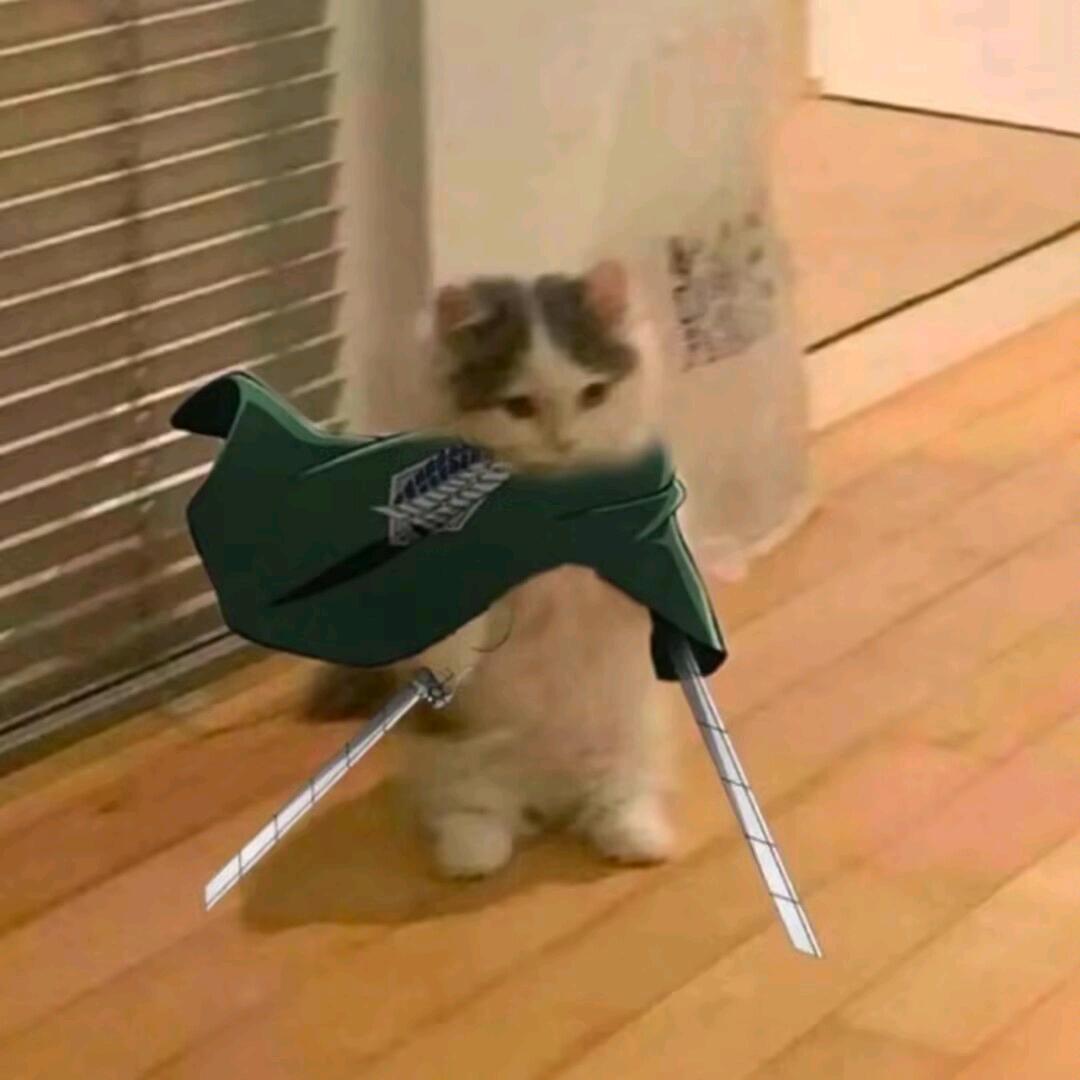 ye