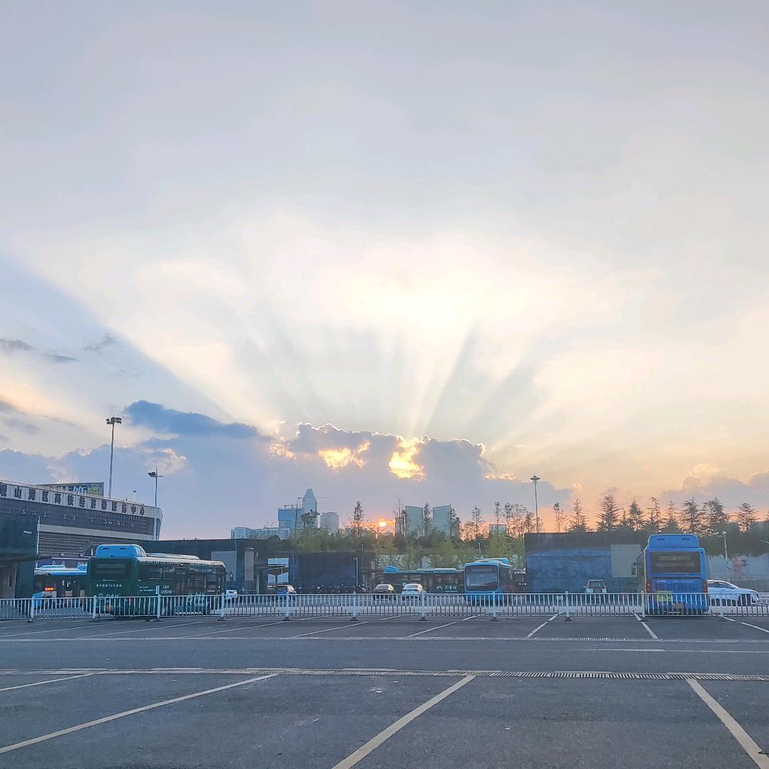 花开富贵（爱喝胡辣汤版）