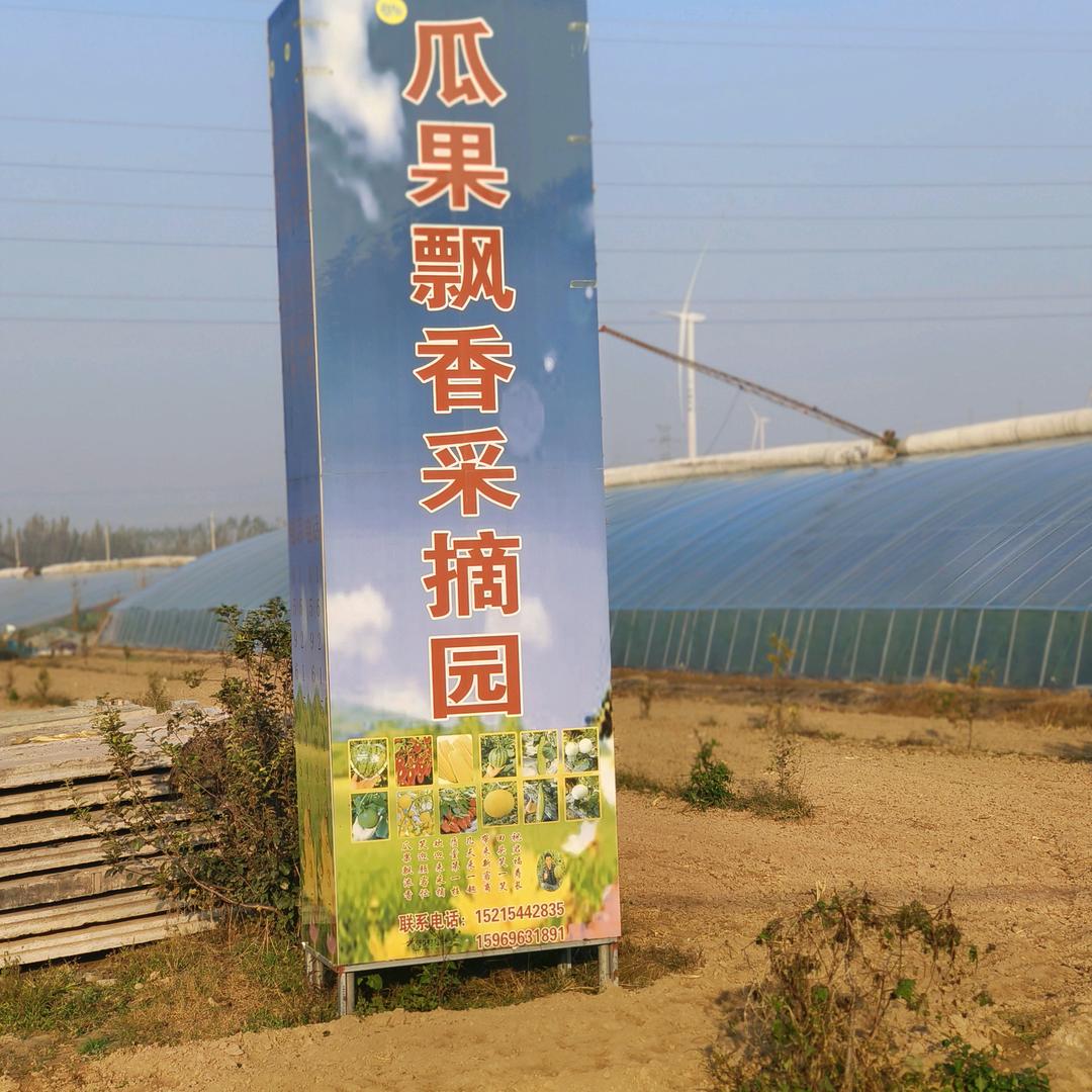 瓜果飘香採摘园