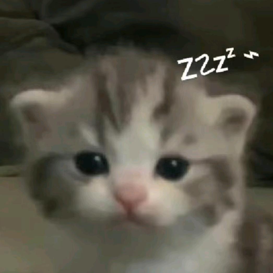 从出生那天我就晕车