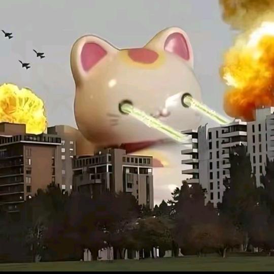 肥肥肥肥肥😑