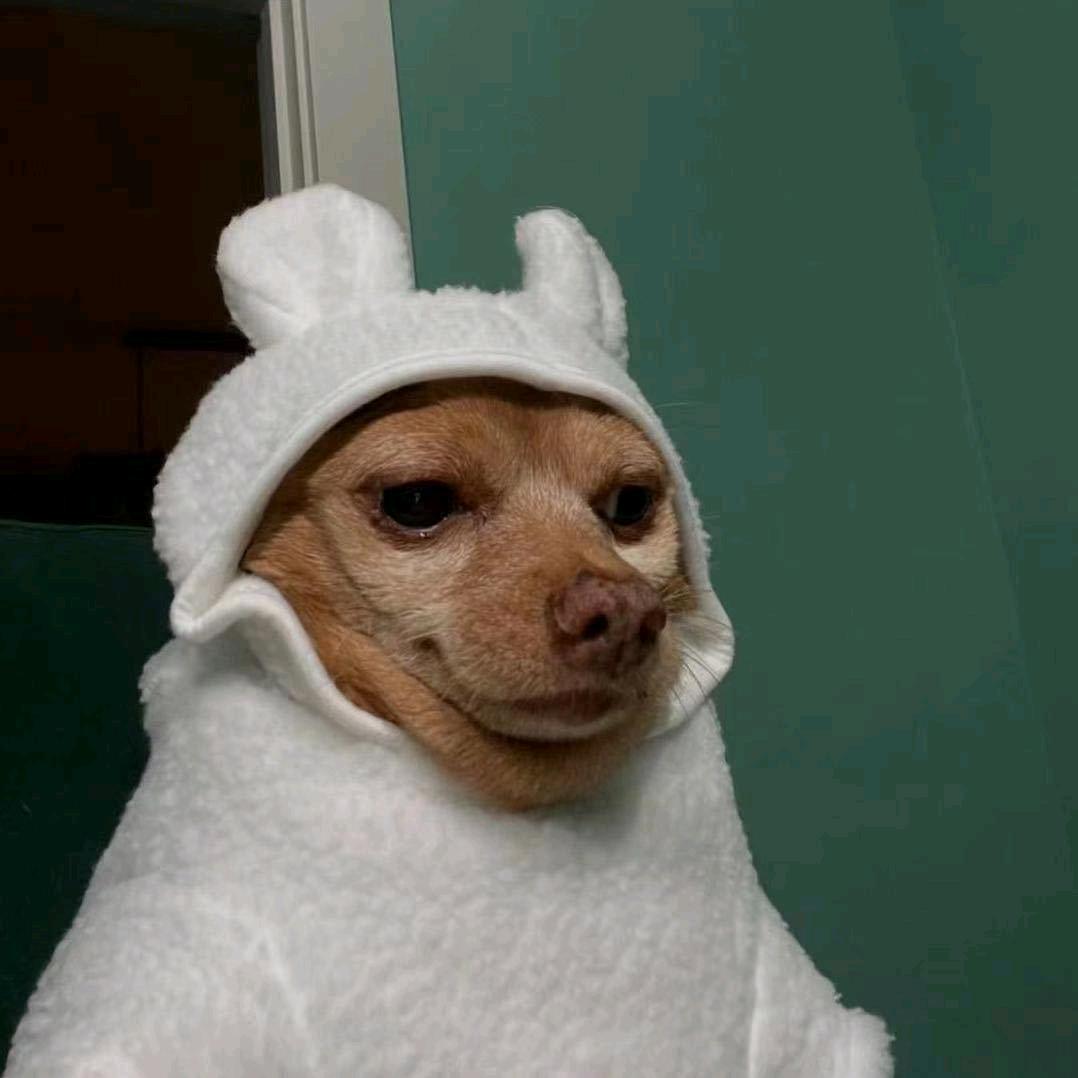 快乐围绕着我ye