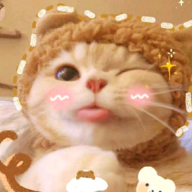浩宇