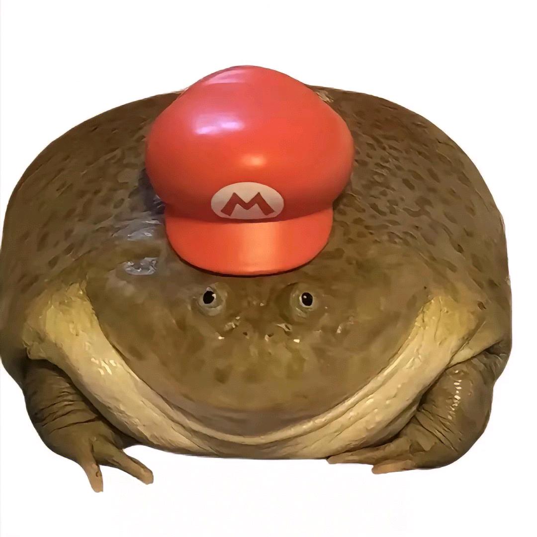 小坤同志的盐焗鹌鹑蛋