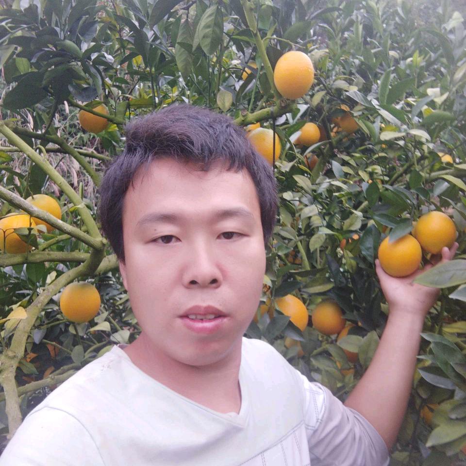 大土特