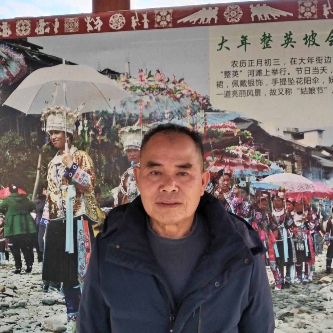 常青树