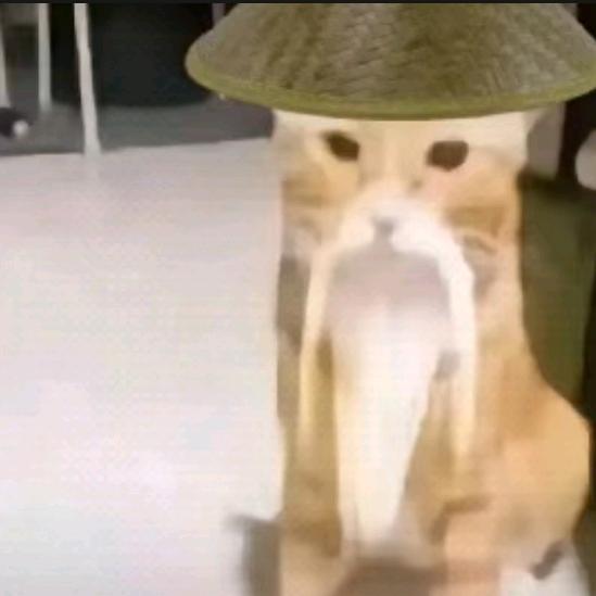 粥舔狼阿牛周牛史