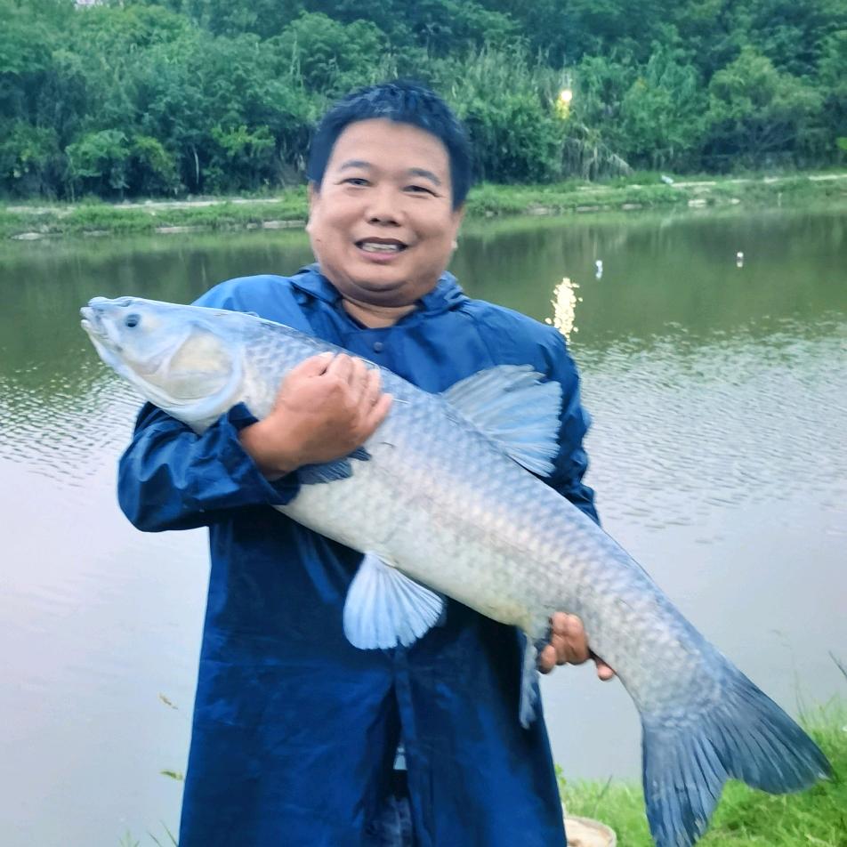 李厨钓鱼🎣