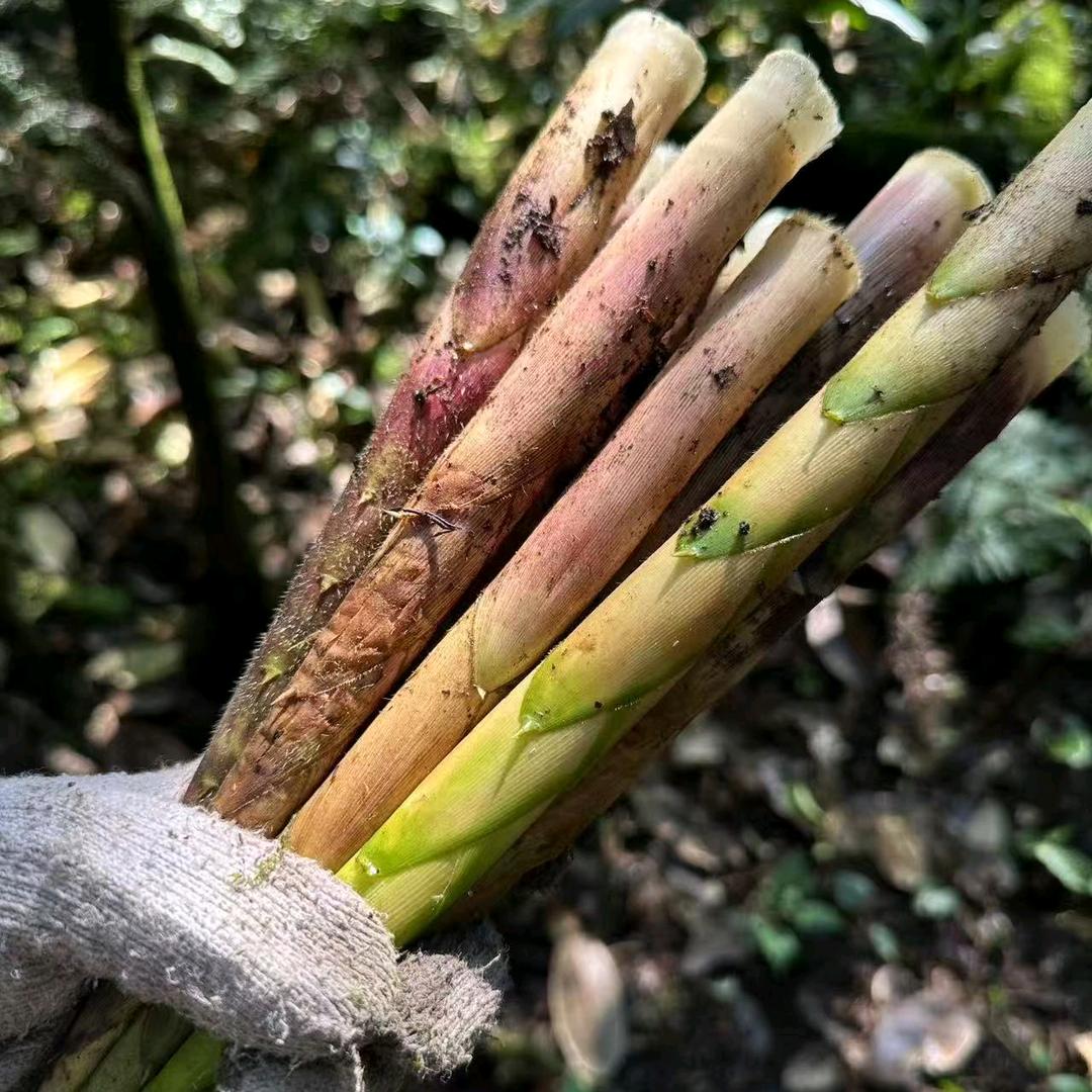 荥经宇涵农产品臻选阁