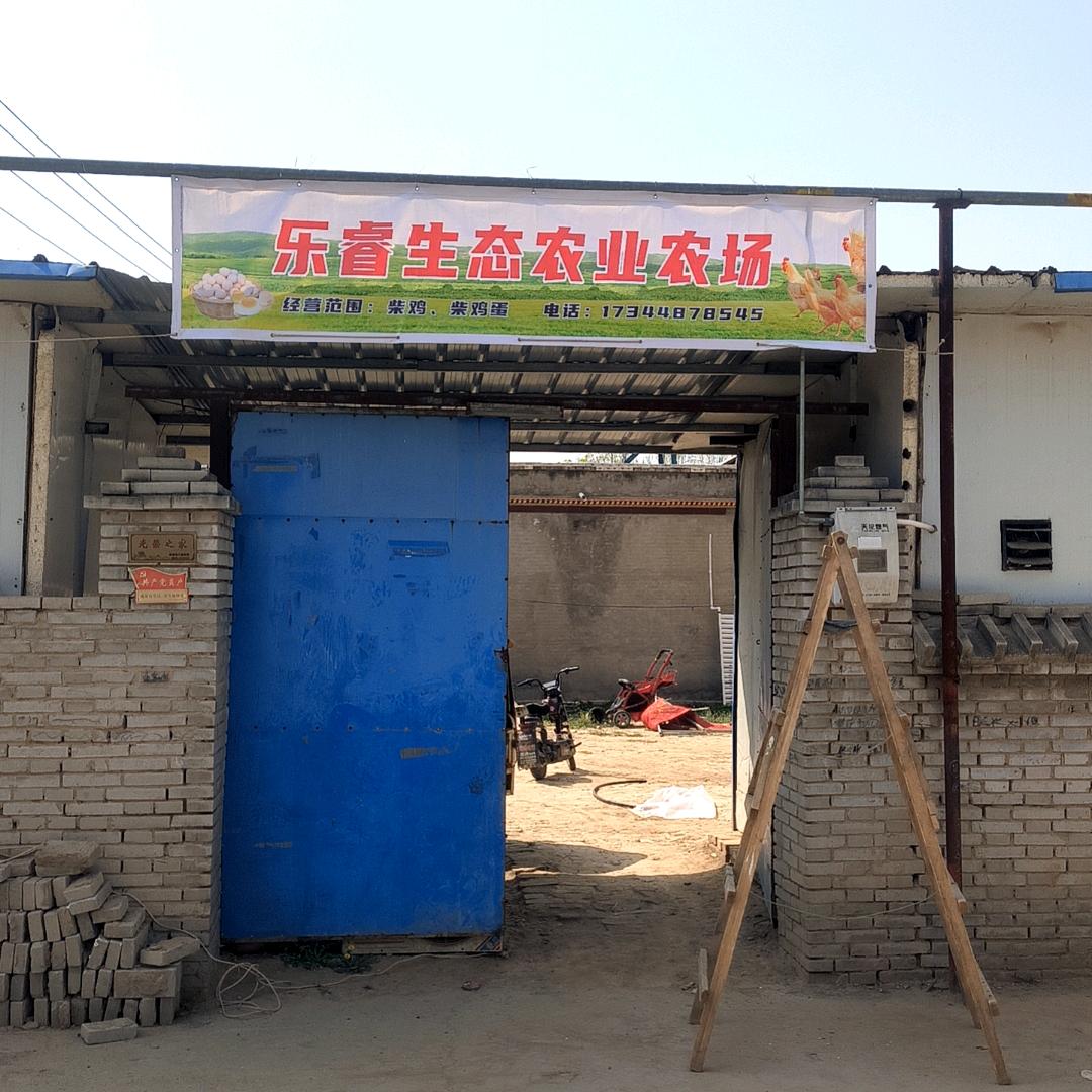 兰考乐睿生态养殖农场（种蛋鸡苗）