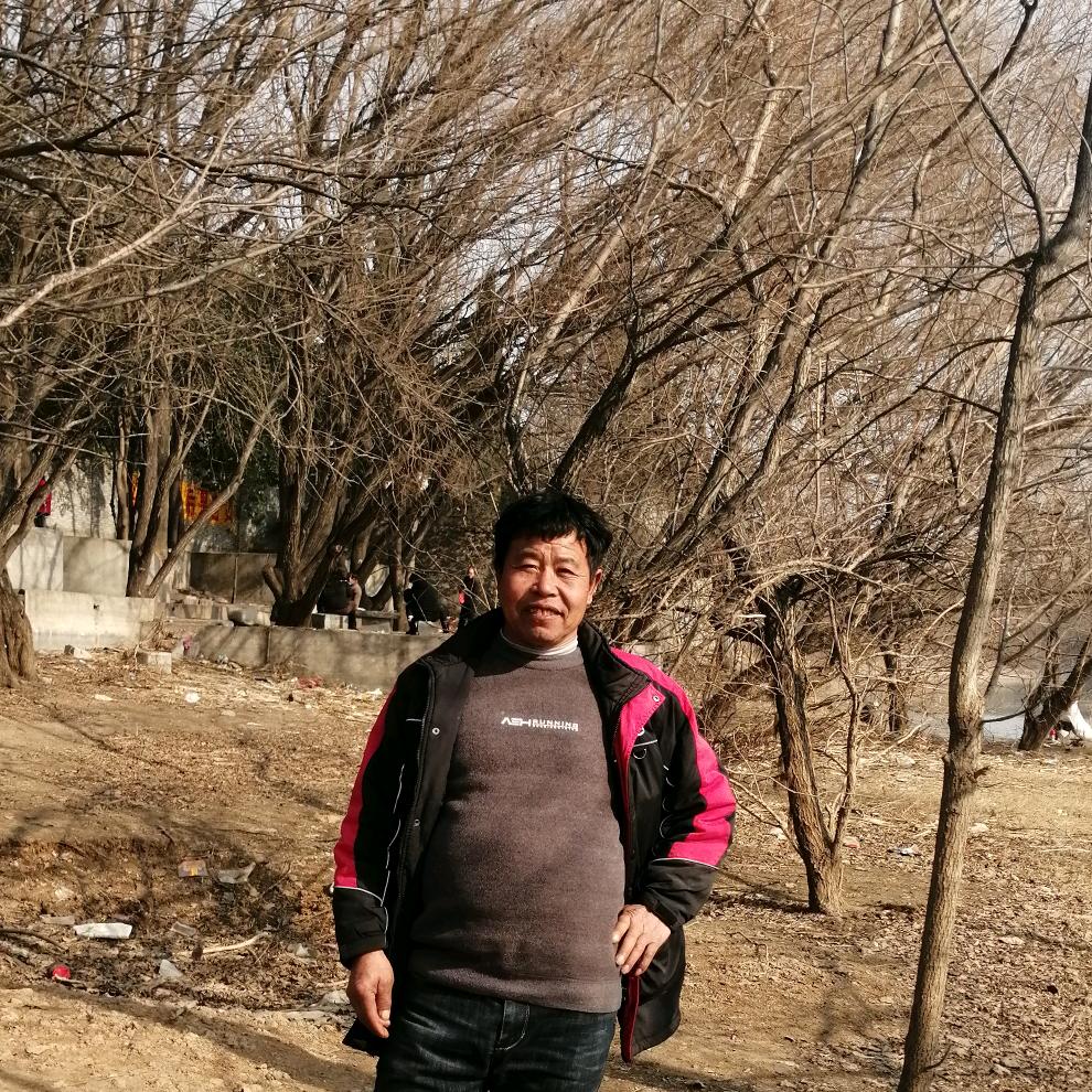 真心实意