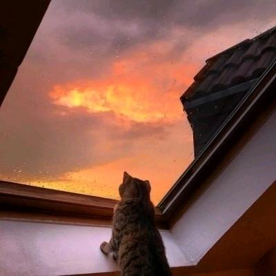 Heartの零度