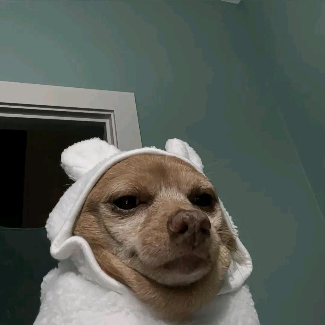 误檐搐憾昇拾湮