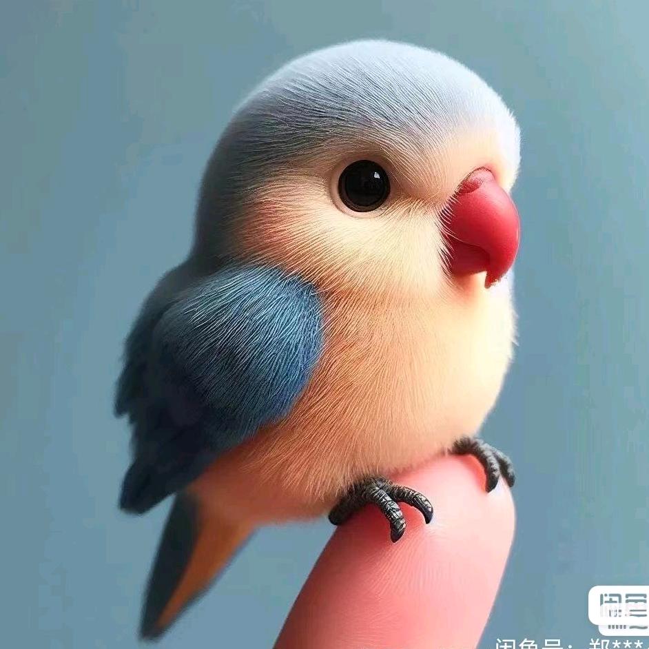 🌈般若🐉