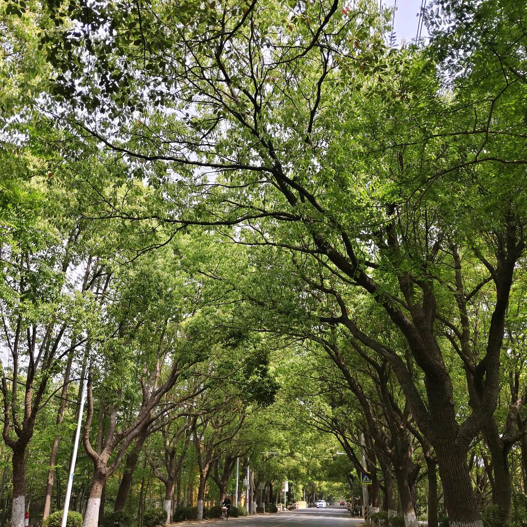 再来碗排骨汤