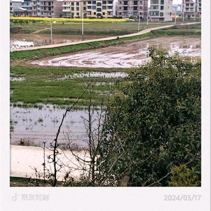 篮色梦