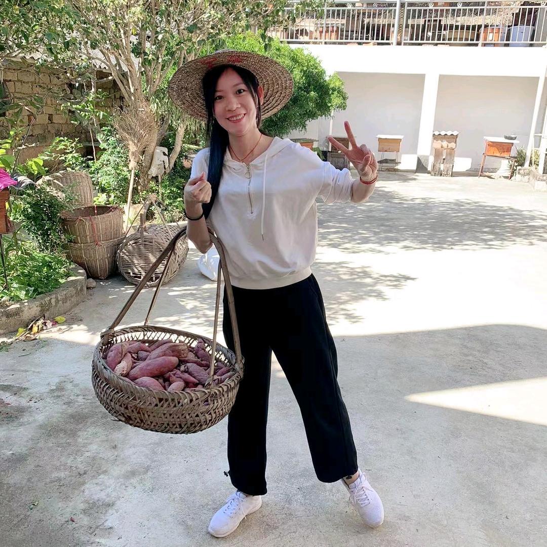 开心果思阿思