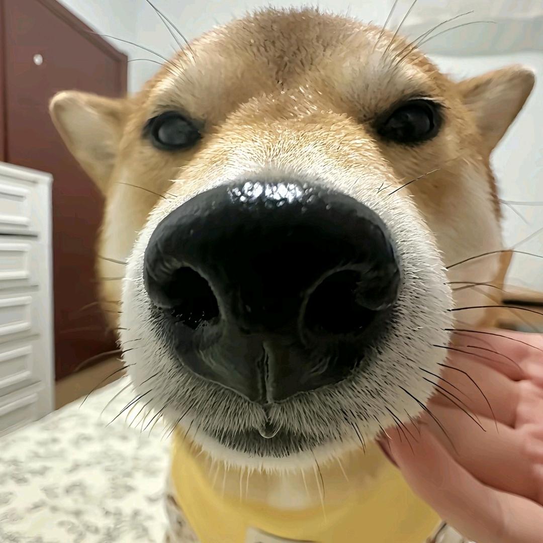 merry
