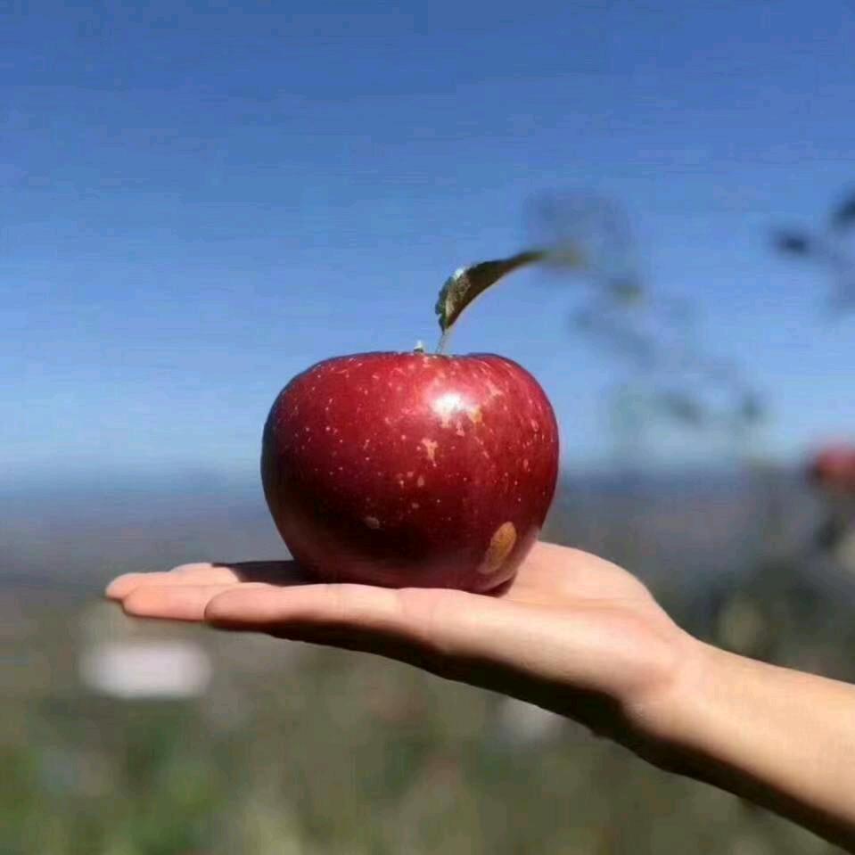 平安健康才是福