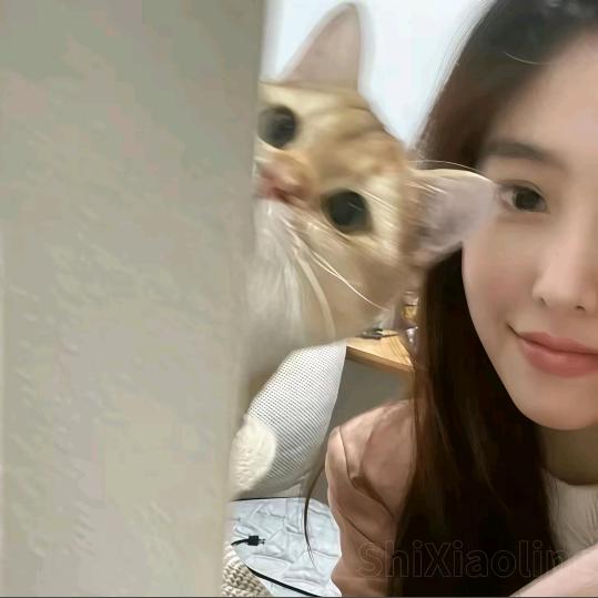 清欢.