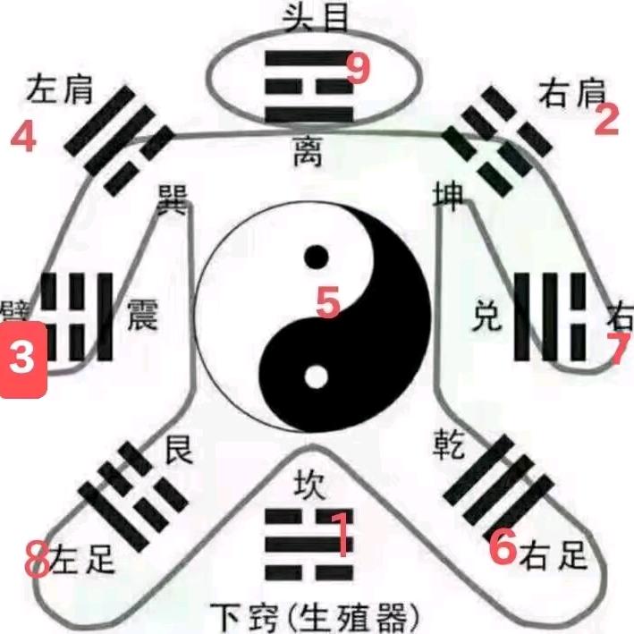 你的苦对我说