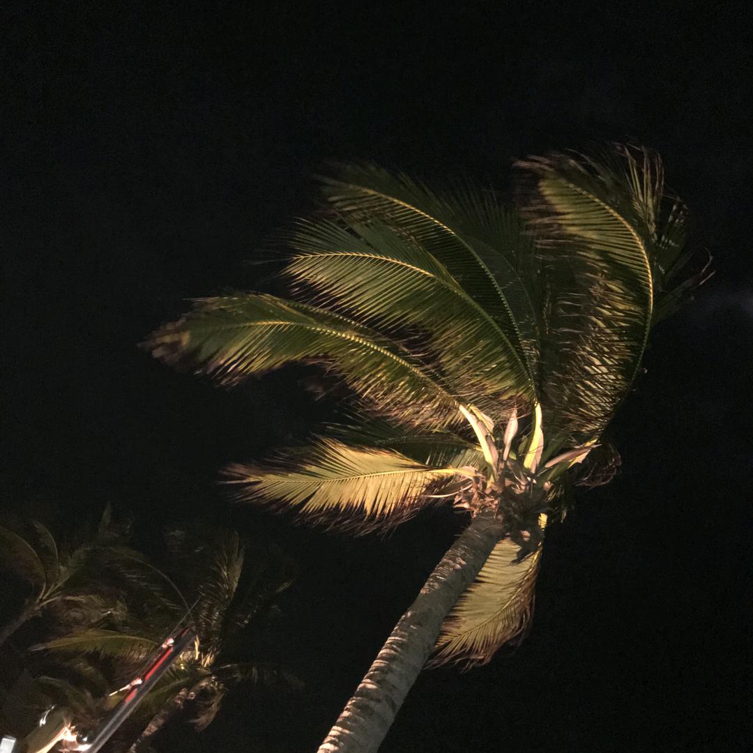 最美的不是下雨天