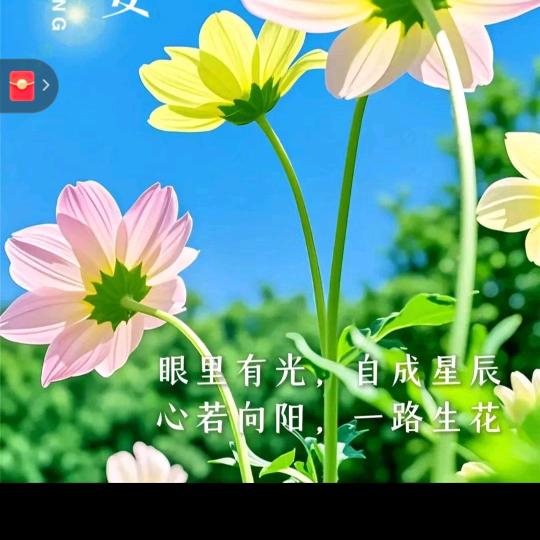 🌊心海无澜
