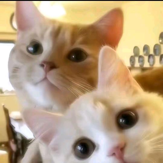 ¹
