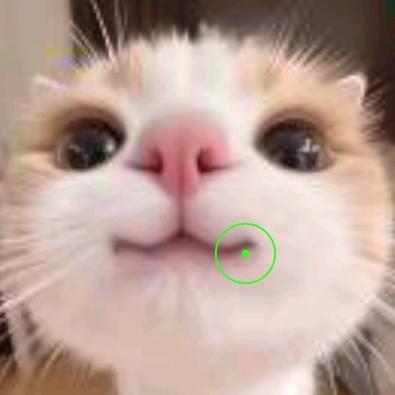 暗区突围~奶瓶（每天两期）