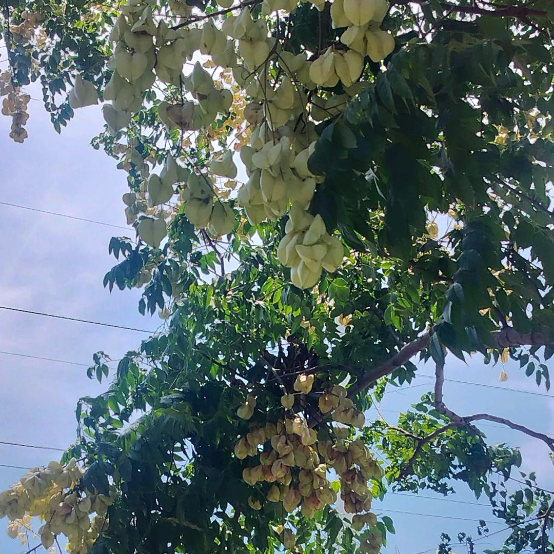 明亮蜡烛，点亮人心