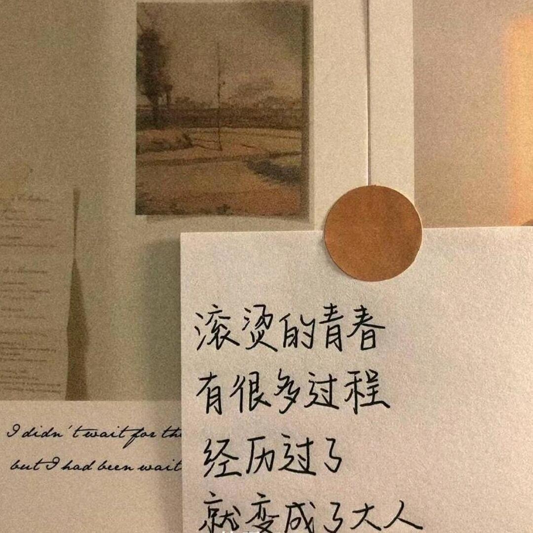 魔熊丶梦澜