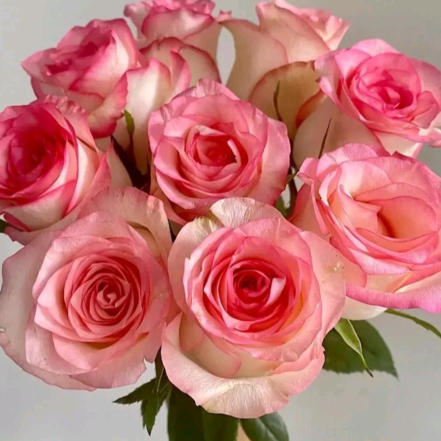 ᰔᩚ᭄ℛ彬彬🍒有李ci