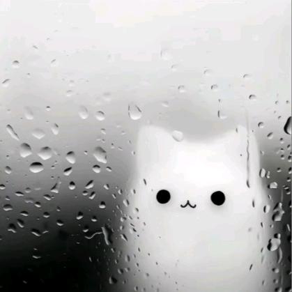 阿渊