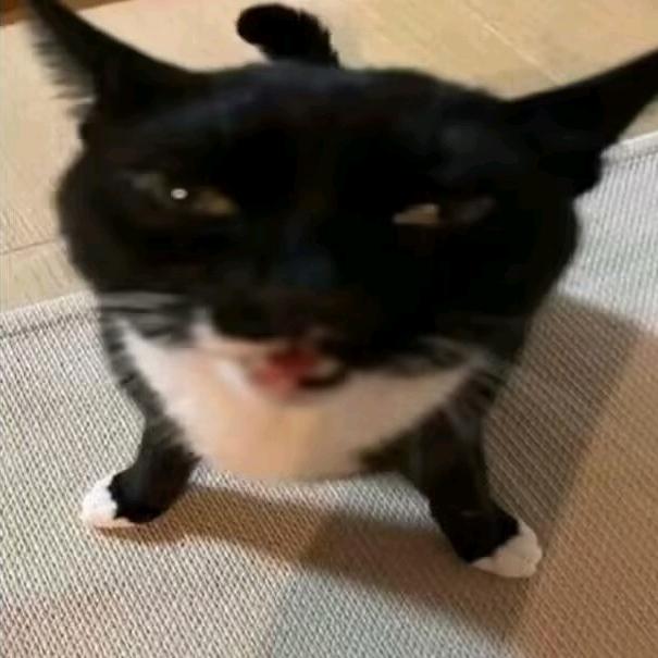 君问周期
