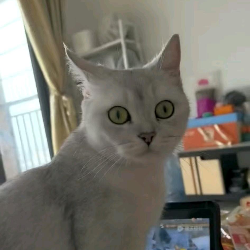 请你吃钵钵鸡