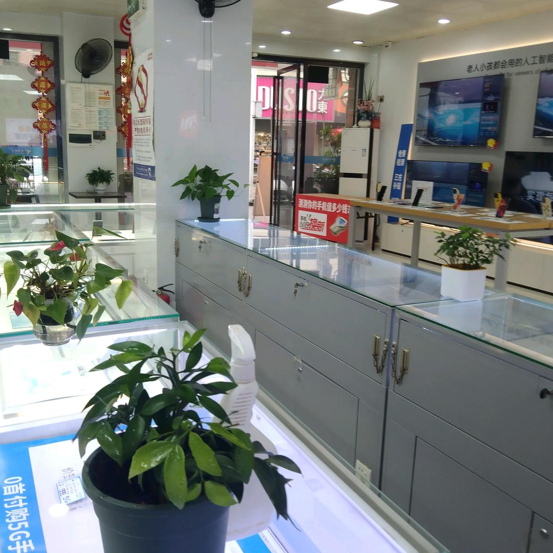 美麗花開