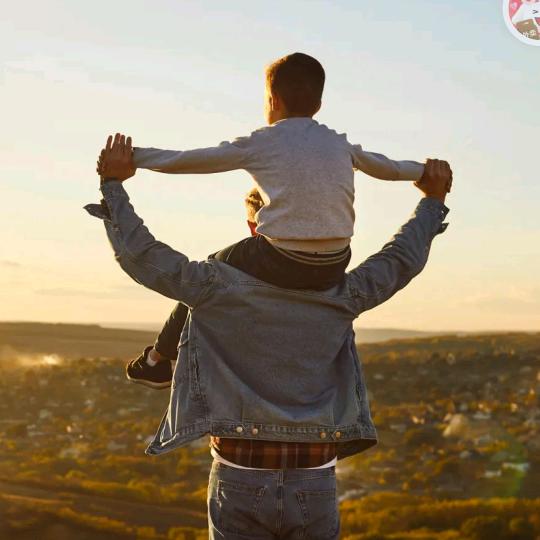 主页领提分资料