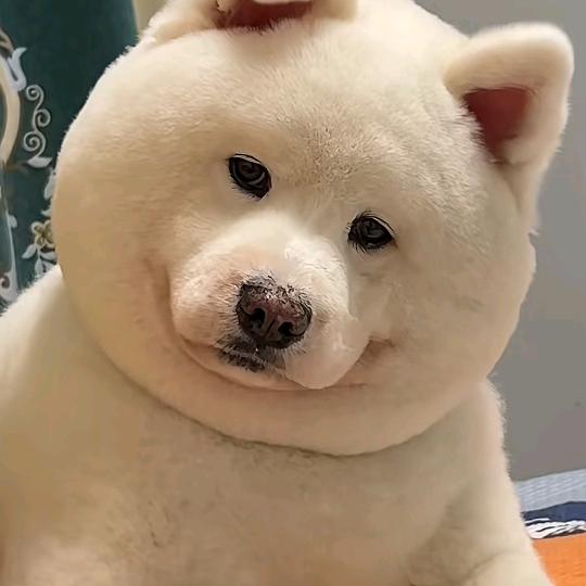 心不死则道不生