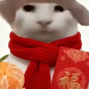 SNOW（永劫无间）