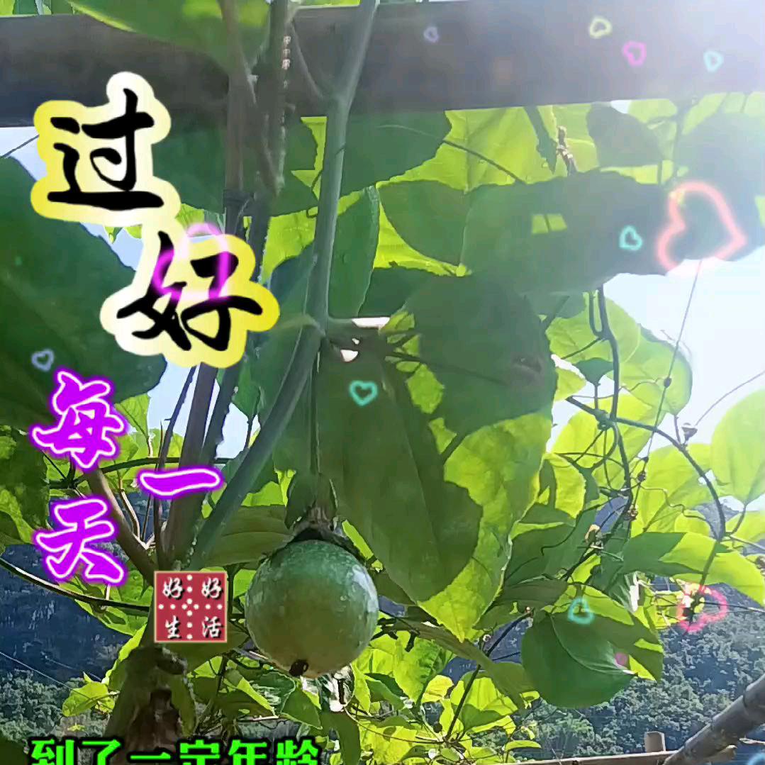 勤快（武哥）