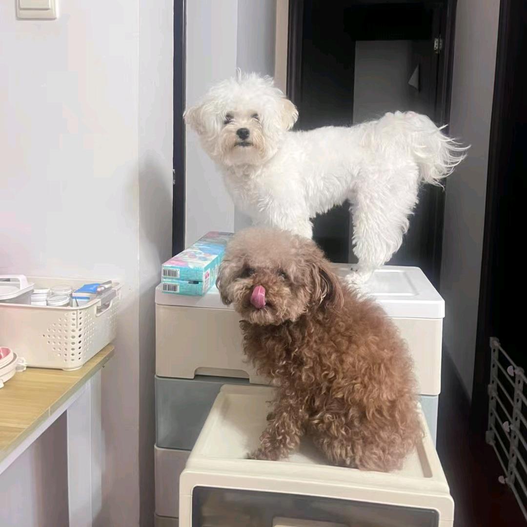 缘分由天定♞聚散不由人