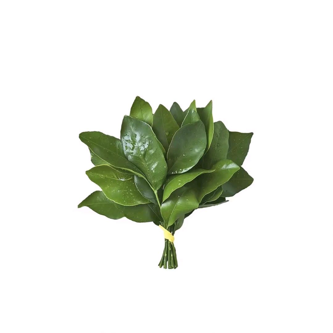 木木🌸🌸(减肥版)