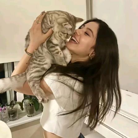 观众🥂