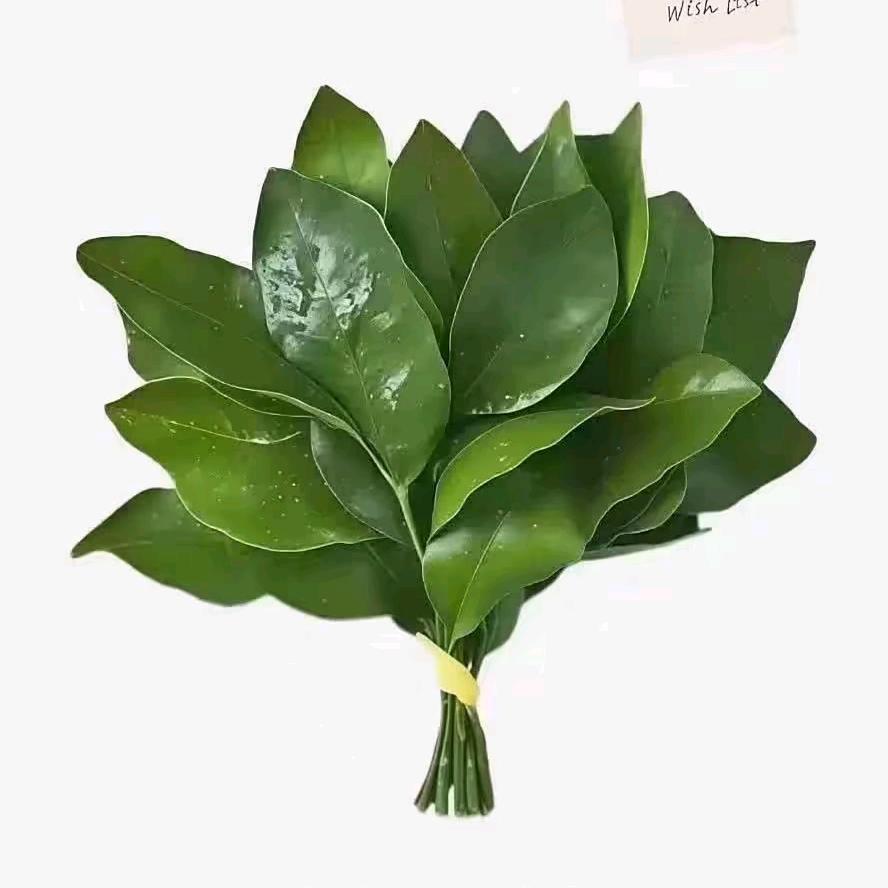 相视与贺结缘🍁