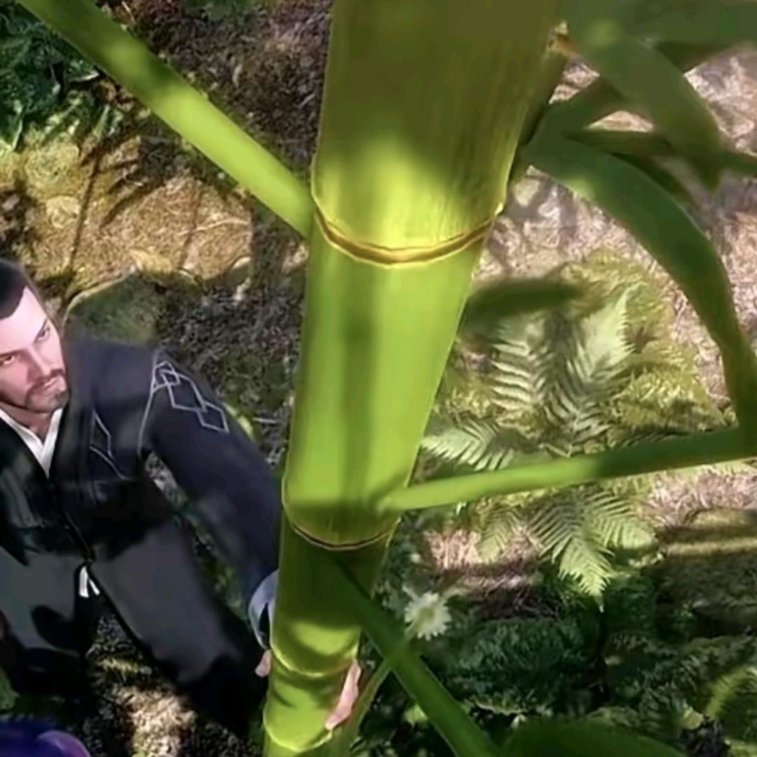 十年孤竹(差点成为海神第一魂环)