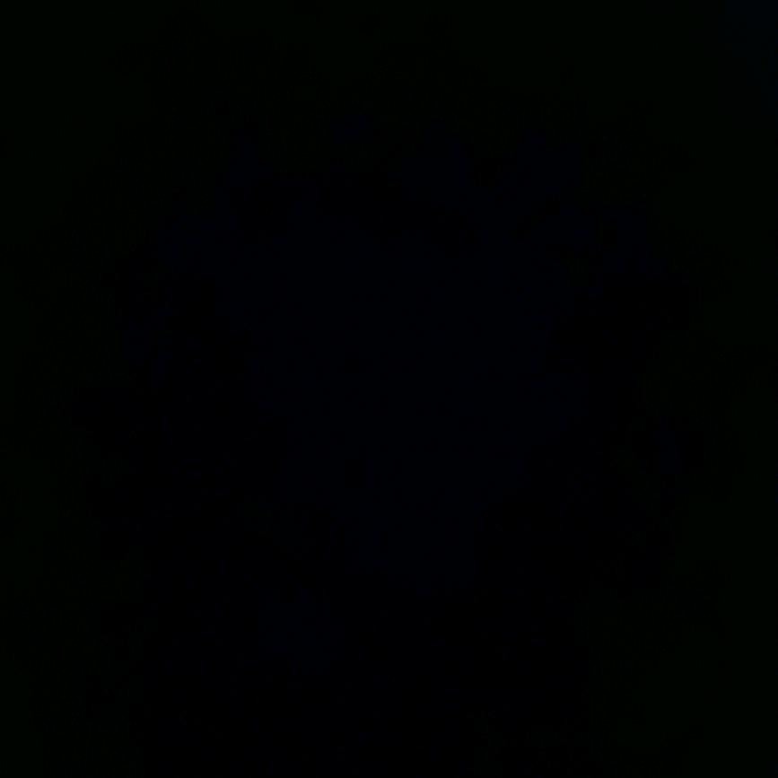 ▪️▪️▪️