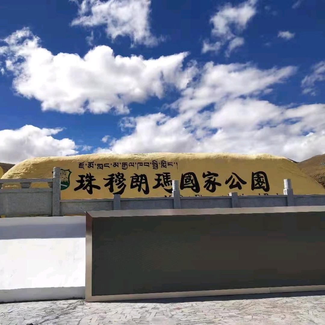 半岛森林